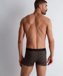 Boxer^Aubade Hot